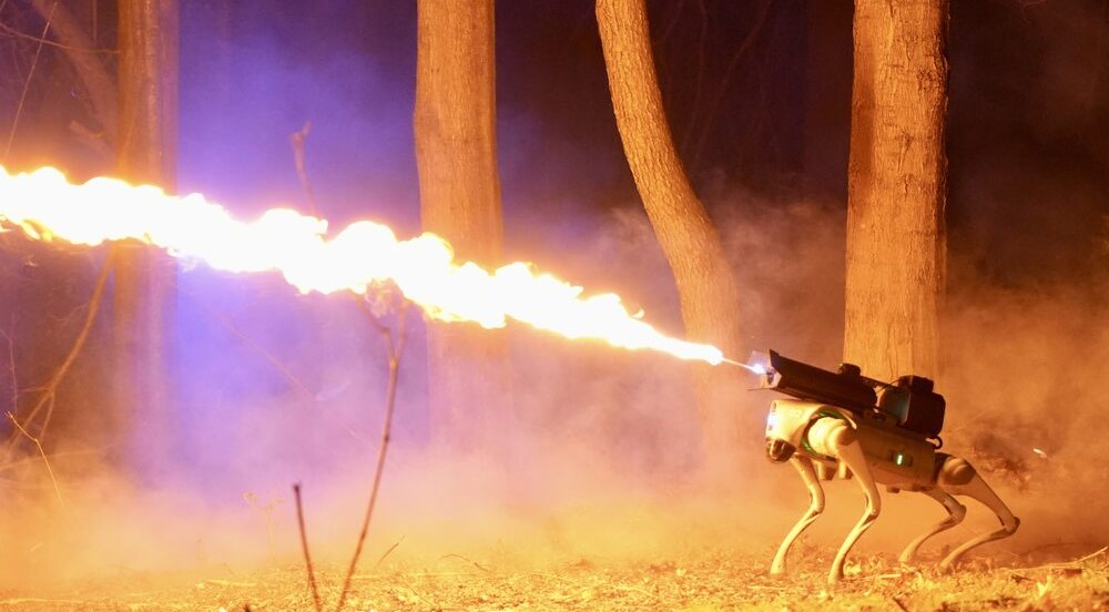 Meet Thermonator: The Flame Throwing Dog