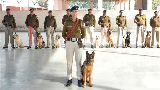 Retirement Home Opened for Police Dogs