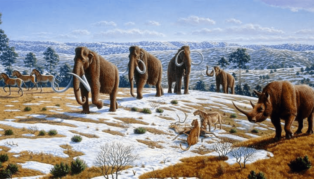 Bringing Back the Woolly Mammoth