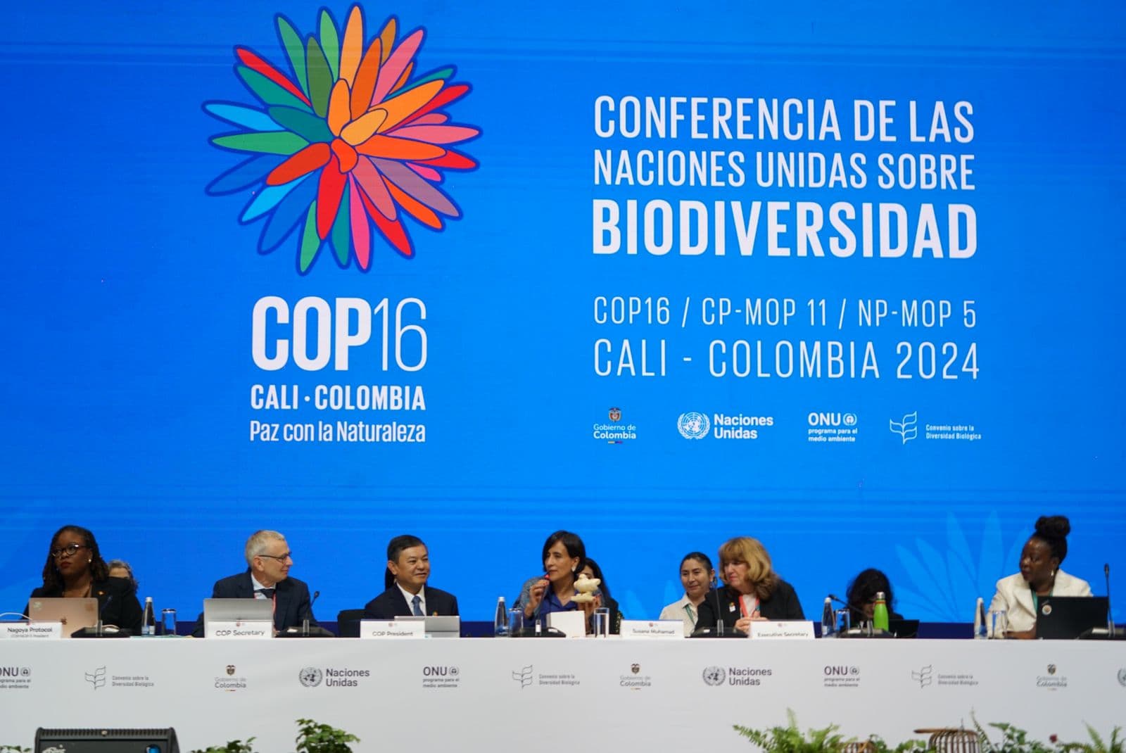 COP16 Nature Summit Begins