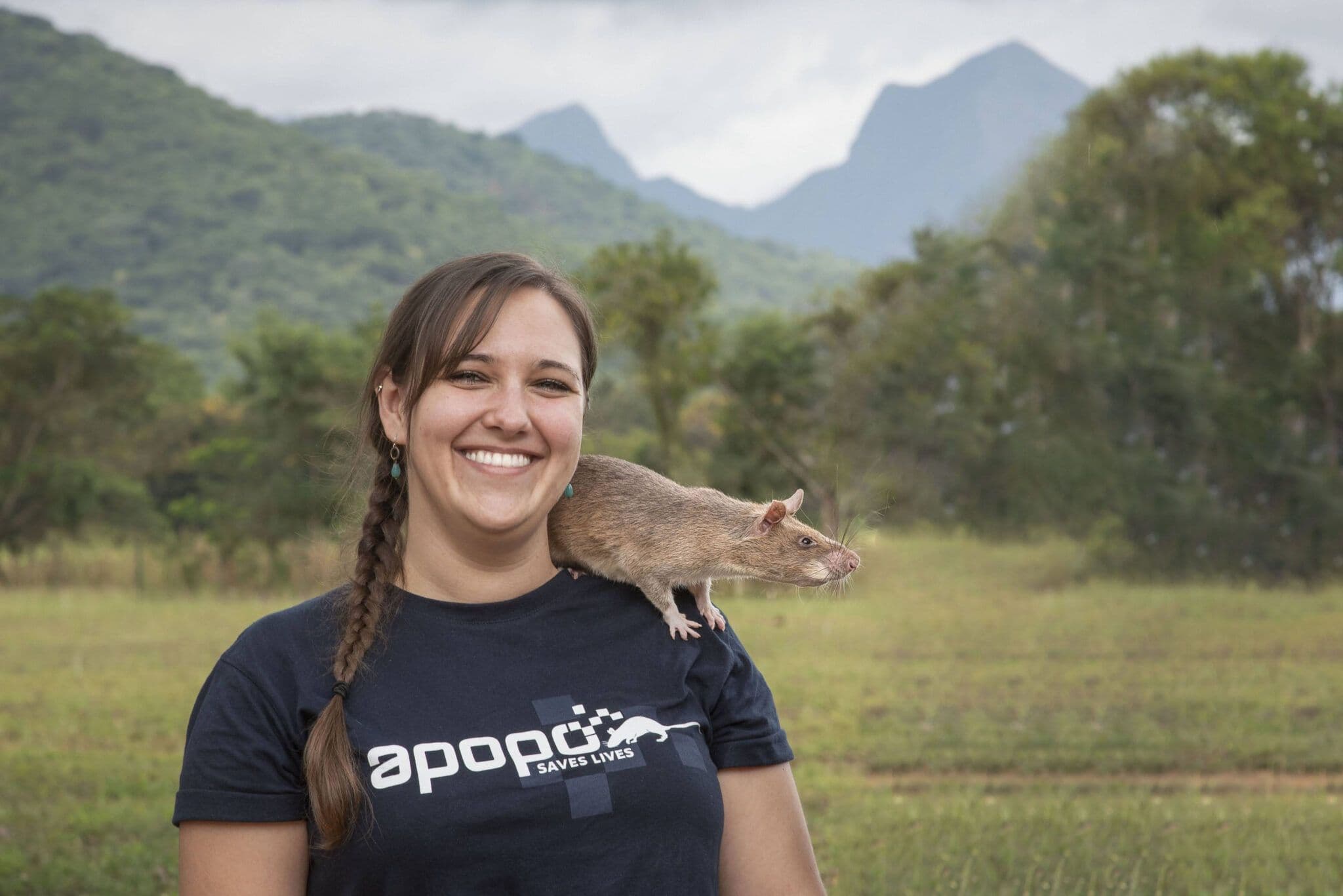 Rats Being Trained To Help Stop Wildlife Trafficking