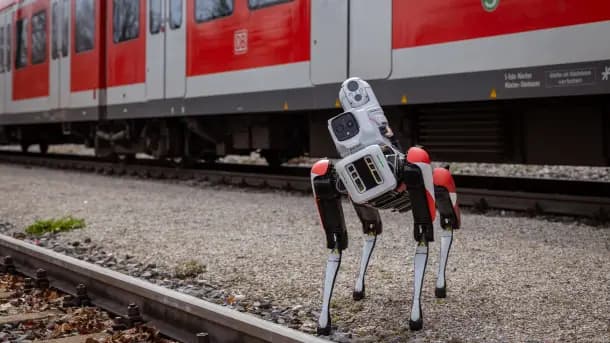 Germany Using Robot Dogs To Catch Graffiti Sprayers