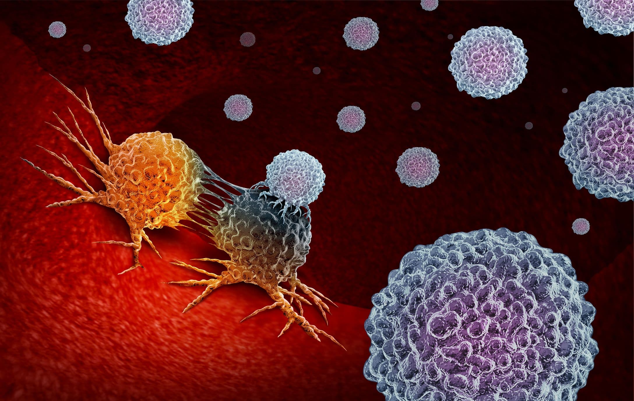 Scientists Trick The Body To Fight Cancer