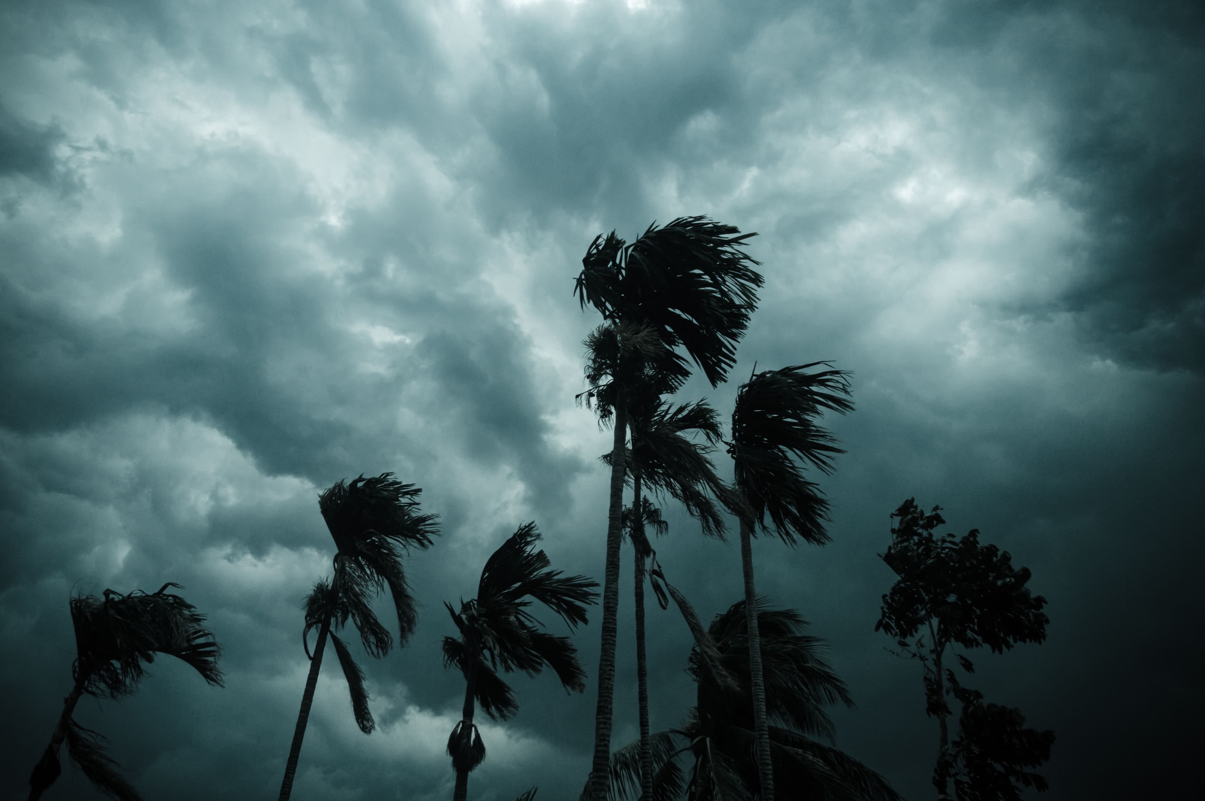 Cyclone Chido Strikes France's Mayotte