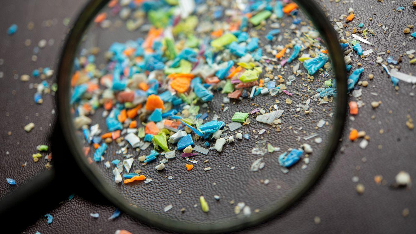 Alarming Levels Of Microplastics Found In Brain Tissue