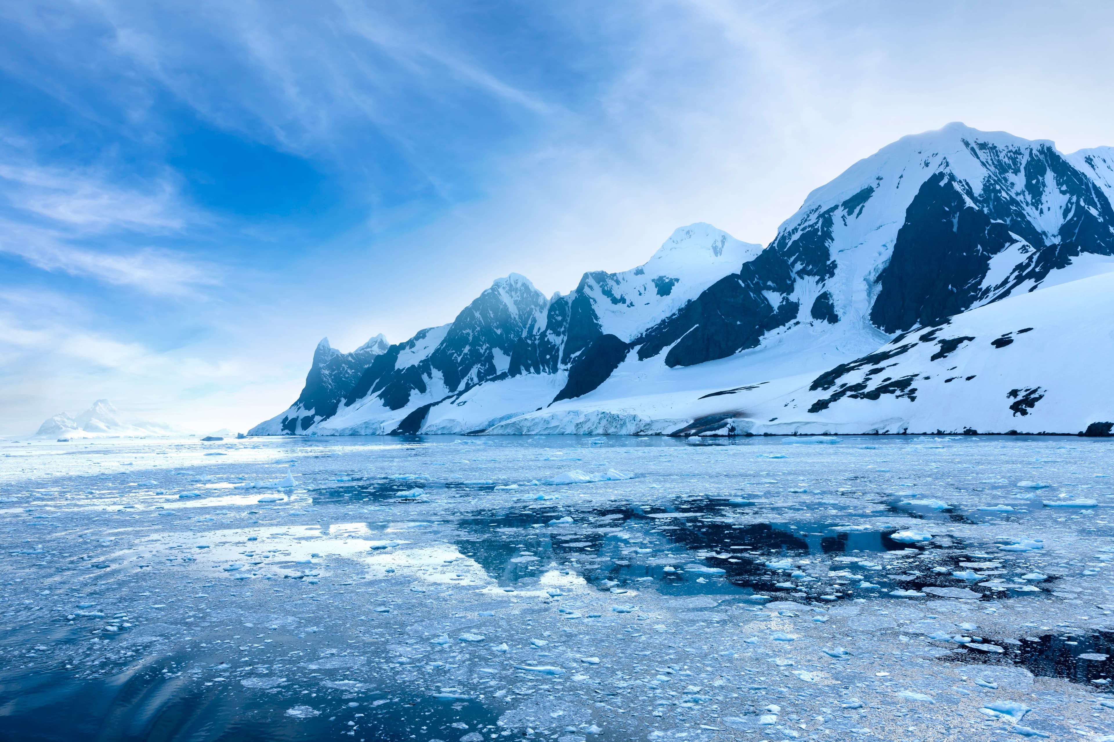 Antarctica Goes Green: A Shocking Climate Shift