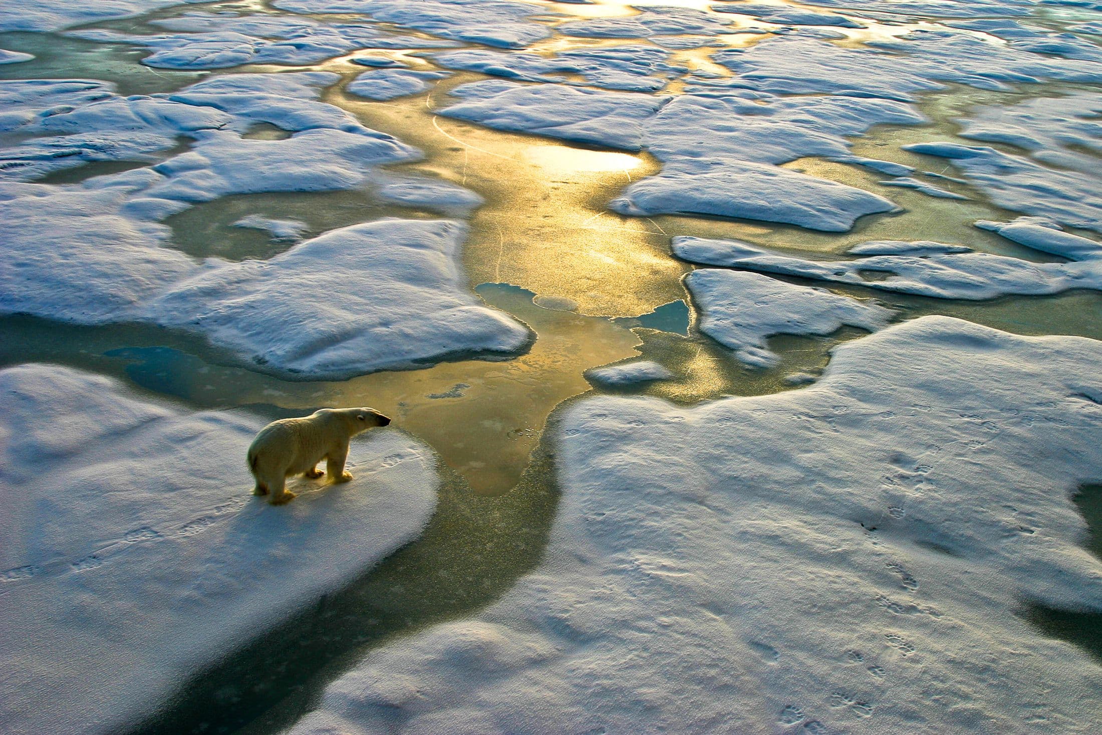 First Tests Of Arctic Ice Refreezing Plan Show Promise