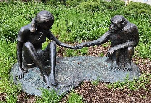 Jane Godall Dies At 91